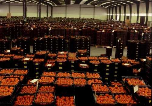 DISTRIBUCIÓN DE ALIMENTOS